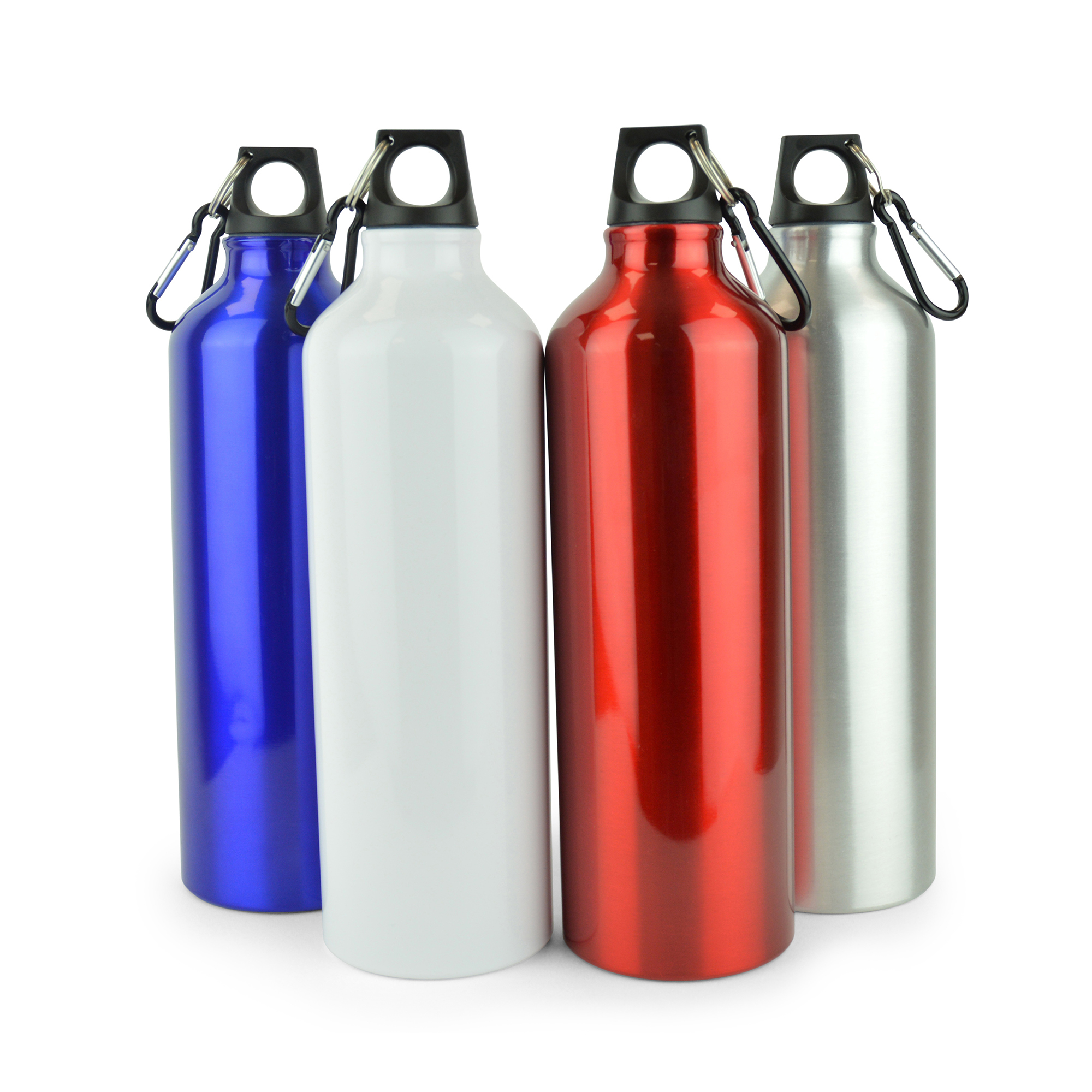 Picture of Pollock Glossy 750ml Sports Bottle